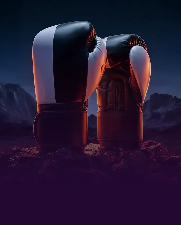 Boxing sport category