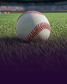 Baseball sport category