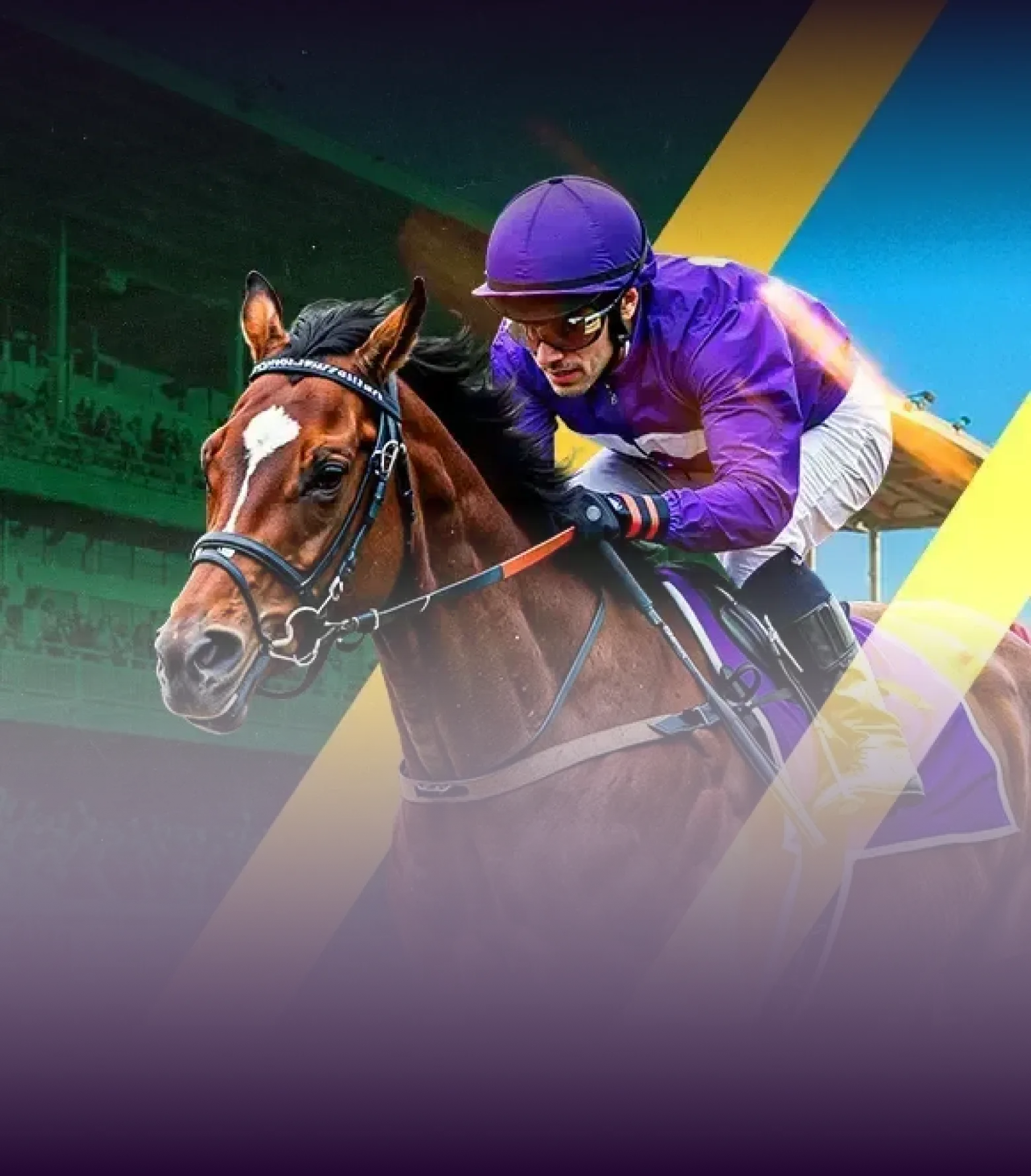 Cashback Racebook betting option